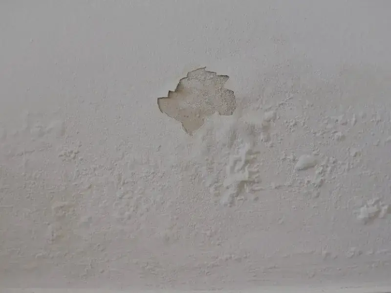 Mur trait&eacute; contre l'humidit&eacute;, surface assainie avant finition