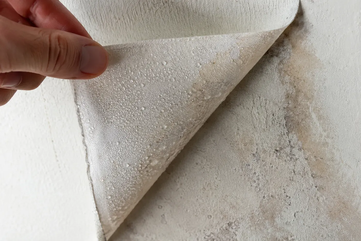 Feuille d'aluminium soulevée par un coin : des gouttelettes sur la face côté pièce, et le mur taché derrière
